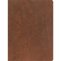 CSB Men's Daily Bible, Brown Genuine Leather