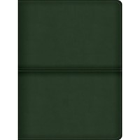 CSB Men's Daily Bible, Olive Leathertouch (Imitation Leather)