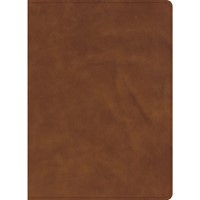 CSB Verse-By-Verse Reference Bible, Handcrafted Collection (Genuine Leather)