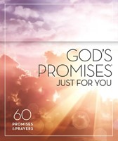 God's Promises Just for You (Imitation Leather)