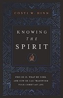 Knowing the Spirit (Paperback)