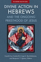 Divine Action In Hebrews (Paperback)