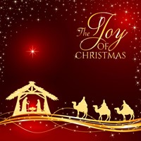 Christmas Joy Christmas Cards (Pack Of 10) (Cards)
