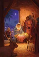 Compassion Charity Christmas Cards: Around The Manger (10pk) (Cards)