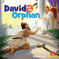 David and the Orphan (Paperback)