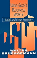 Using God's Resources Wisely (Paperback)