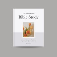 The Good and Beautiful Bible Study Volume 2 (Paperback)