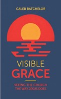 Visible Grace (Paperback)