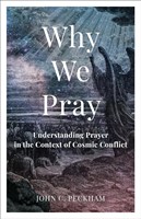 Why We Pray (Paperback)