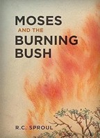 Moses and the Burning Bush (Paperback)