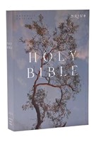 NRSV Catholic Edition Bible, Eucalyptus Paperback (Paperback)