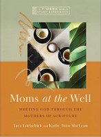 Moms At The Well (Paperback)