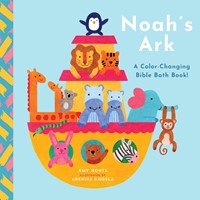 Noah's Ark (Other Book Format)