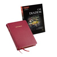 CSB Diadem Reference Edition, Red Calf Split Leather (Leather / Fine Binding)
