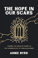 The Hope in Our Scars (Paperback)
