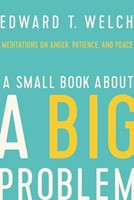 The Small Book About A Big Problem (Paperback)