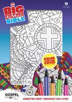 HCSB Big Picture Interactive Bible, Color-Your-Own, Cross