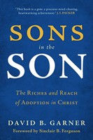 Sons in the Son (Paperback)
