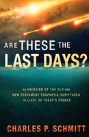 Are These The Last Days? (Paperback)