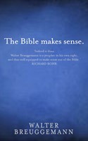 The Bible Makes Sense (Paperback)