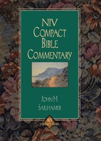NIV Compact Bible Commentary (Paperback)