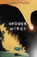 Broken Wings (Paperback)