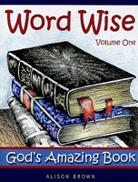 Word Wise: Vol. 1 God's Amazing Book (Paperback)