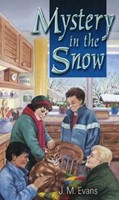 Mystery In The Snow (Paperback)