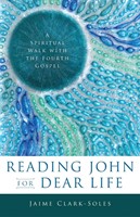Reading John for Dear Life (Paperback)