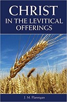 Christ in the Levitical Offerings (Paperback)