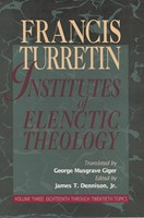 Institutes of Elenctic Theology: Vol. 3 (Paperback)
