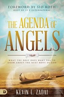 The Agenda of Angels (Paperback)