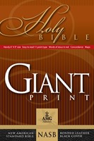 NASB Giant Print Handy-Size Reference Bible, Black