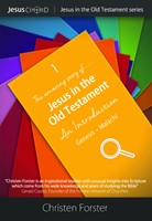 JinOT Volume 1: Jesus In The Old Testament (Paperback)