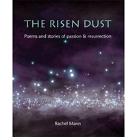 The Risen Dust (Paperback)