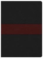 KJV Apologetics Study Bible, Black/Red Leathertouch Indexed (Imitation Leather)