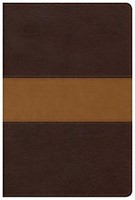 CSB Disciple's Study Bible, Brown/Tan LeatherTouch (Imitation Leather)