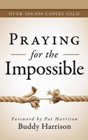 Praying for the Impossible (Paperback)