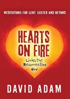Hearts On Fire (Paperback)