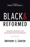 Black and Reformed (Paperback)