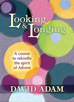 Looking & Longing (Paperback)
