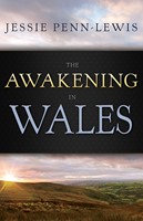 Awakening In Wales (Paperback)