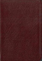 Santa Biblia De Bolsillo Nvi (Leather Binding)