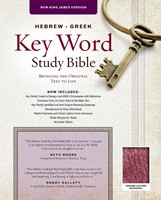The NKJV Hebrew-Greek Key Word Study Bible Burgundy (Leather Binding)