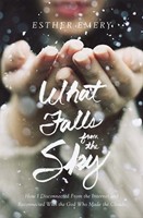 What Falls from the Sky (Hard Cover)