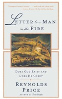Letter to a Man in the Fire (Paperback)