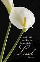 Calla Lilies Funeral Bulletin (Pkg of 50) (Bulletin)