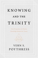 Knowing and the Trinity (Paperback)