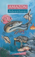 Amazon Adventures (Paperback)