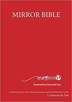 Mirror Bible Large Print (Paperback)
